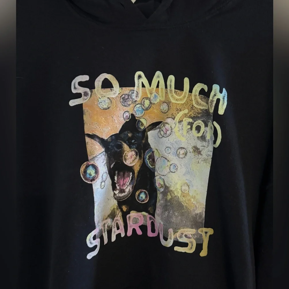 Fall out Boy So much for Stardust Album Hoodie